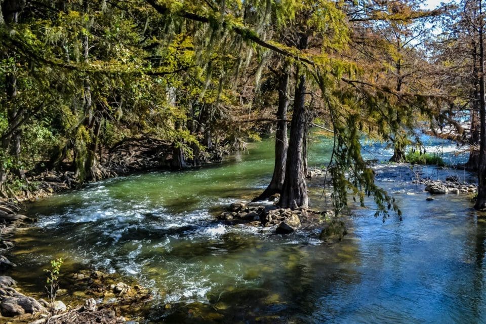 tubing Guadalupe River with kids — cypress-lined Guadalupe River flowing through New Braunfels, Texas